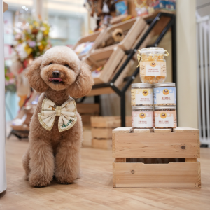 自家凍乾小食 Freeze-Dried Treats Made in HK