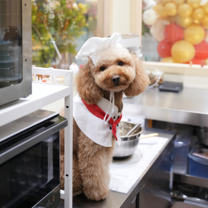 皇牌小食 Best Seller